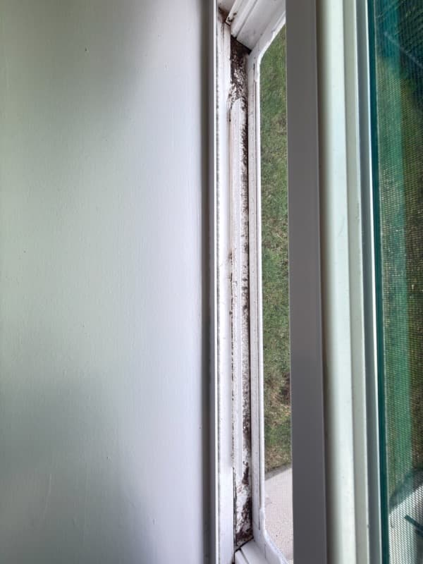 Before cleaning in Katy, TX